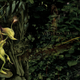 Illustration for article titled Your Inside Guide to the Land of Faerie